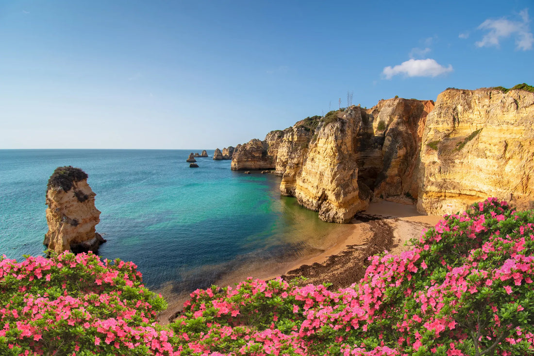 A Curated Itinerary: Discovering Portugal