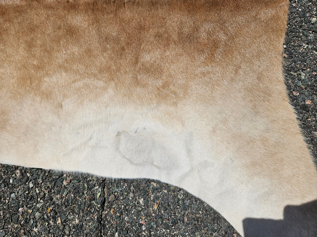 Light Brown & White Genuine Cowhide Rug - 74” x 68”