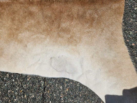 Light Brown & White Genuine Cowhide Rug - 74” x 68”