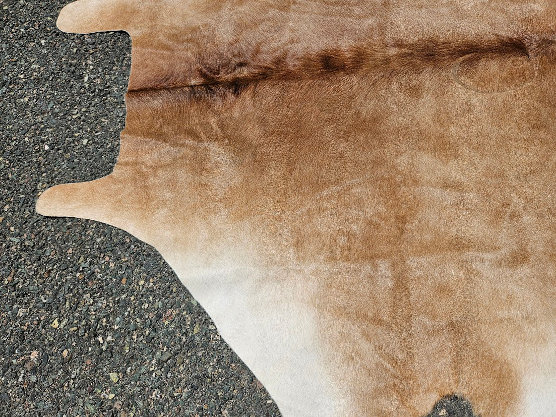 Light Brown & White Genuine Cowhide Rug - 74” x 68”