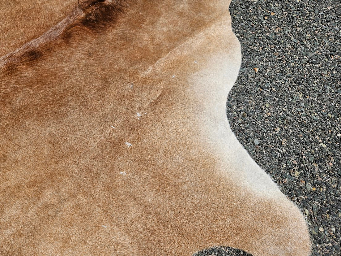 Light Brown & White Genuine Cowhide Rug - 74” x 68”