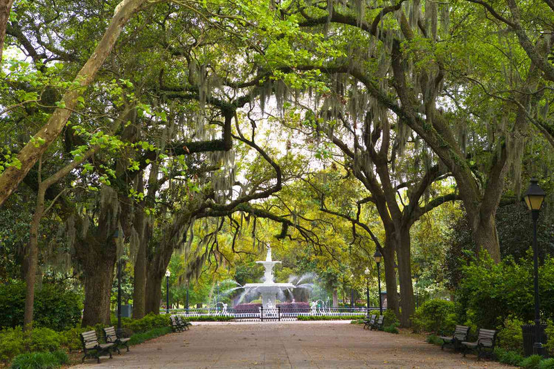 Savannah, Georgia Pop-Up