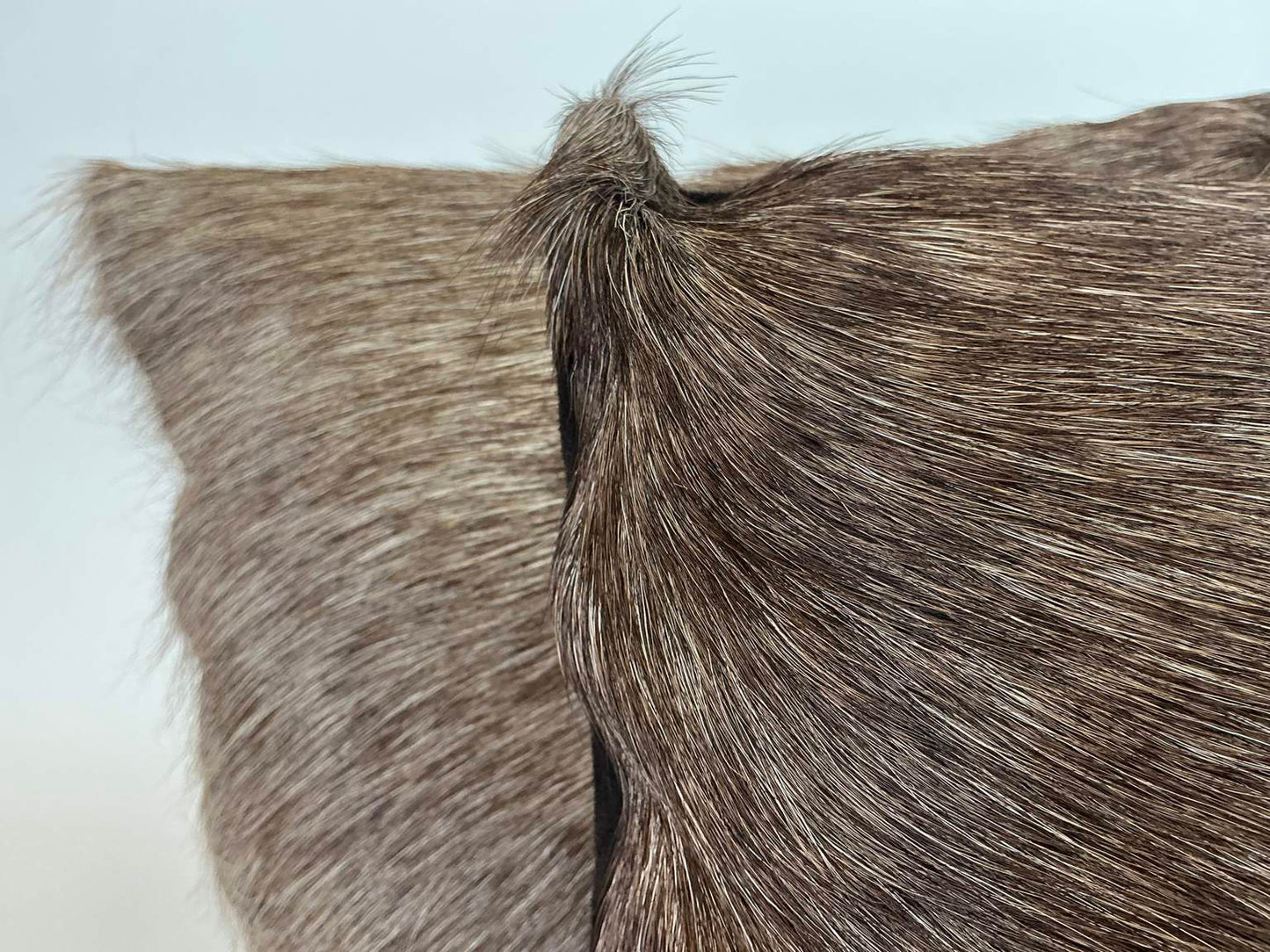 Pair of Natural Hair-on-Hide Accent Pillows
